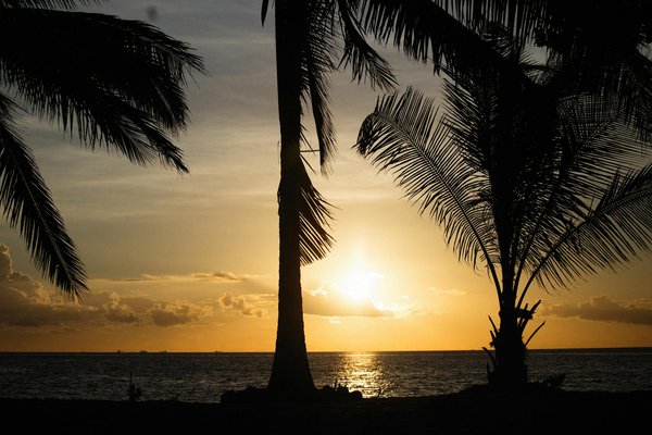 Quelles stratégies les compagnies aériennes adoptent-elles pour attirer les passagers ?