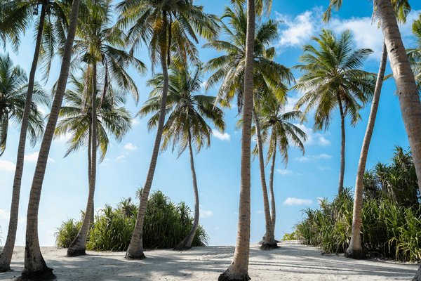 Comment les préoccupations environnementales influencent-elles les choix de voyage ?